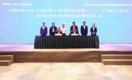 馬鞍山市礦山治理與特種經(jīng)濟(jì)林一二三產(chǎn)融合項(xiàng)目投資合作框架協(xié)議簽約儀式成功舉行